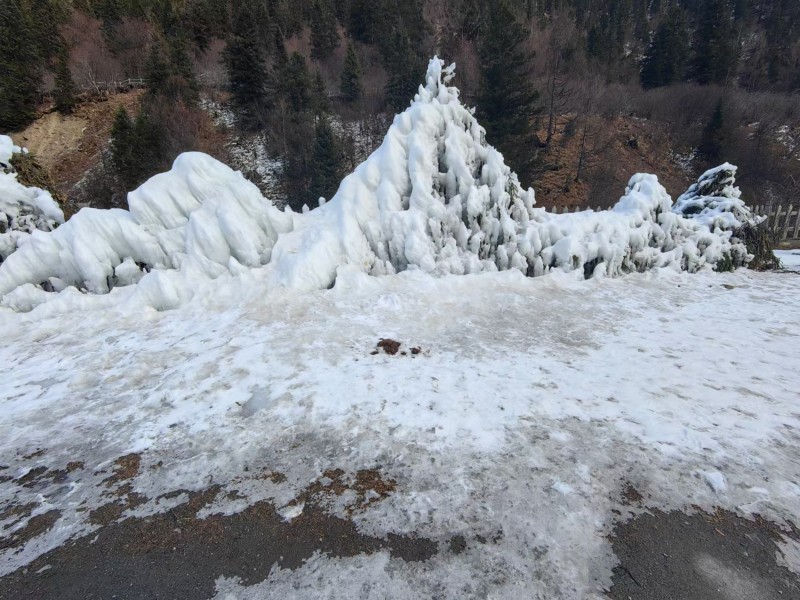 冰雪+成都管理处+吴先菊