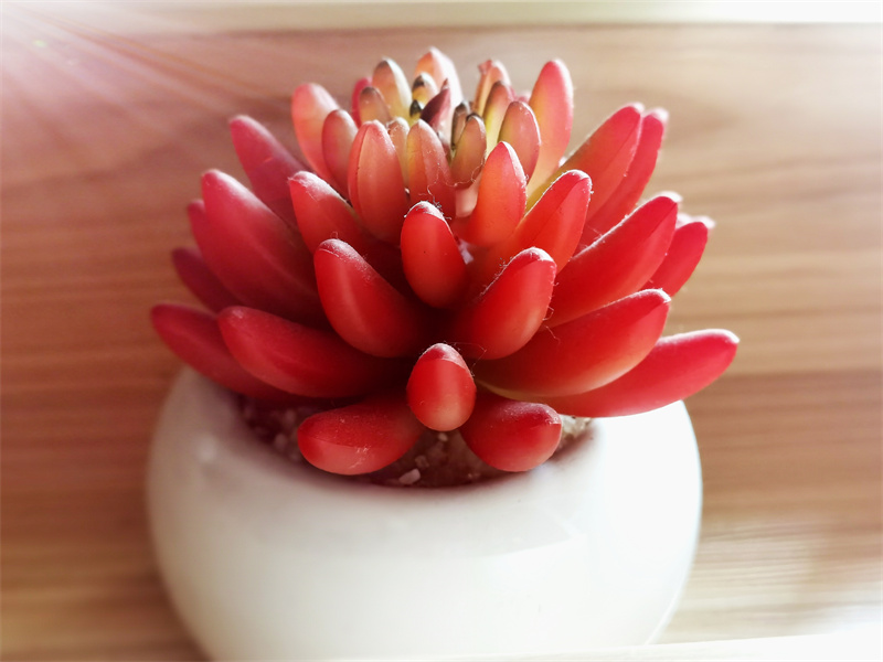 珠圆玉润+四川成渝高速公路股份有限公司成渝分公司资阳管理处+邹丽