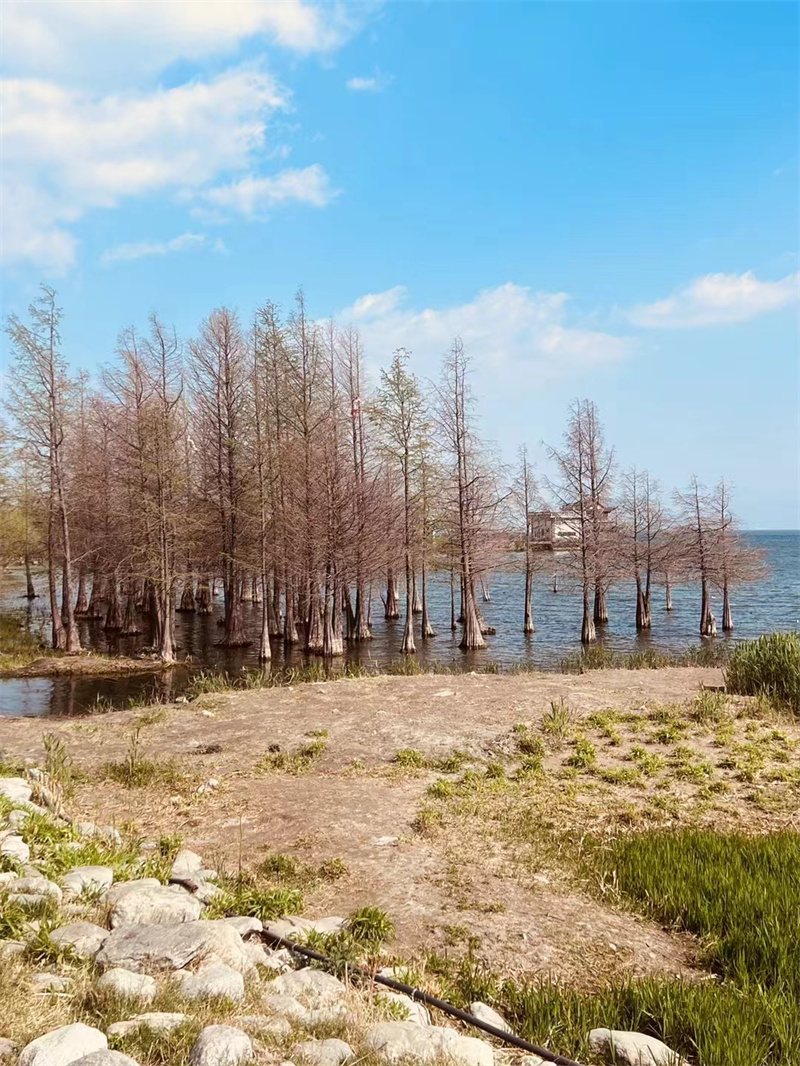 水中一抹红+四川成渝高速公路股份有限公司成渝分公司资阳管处+曾茜