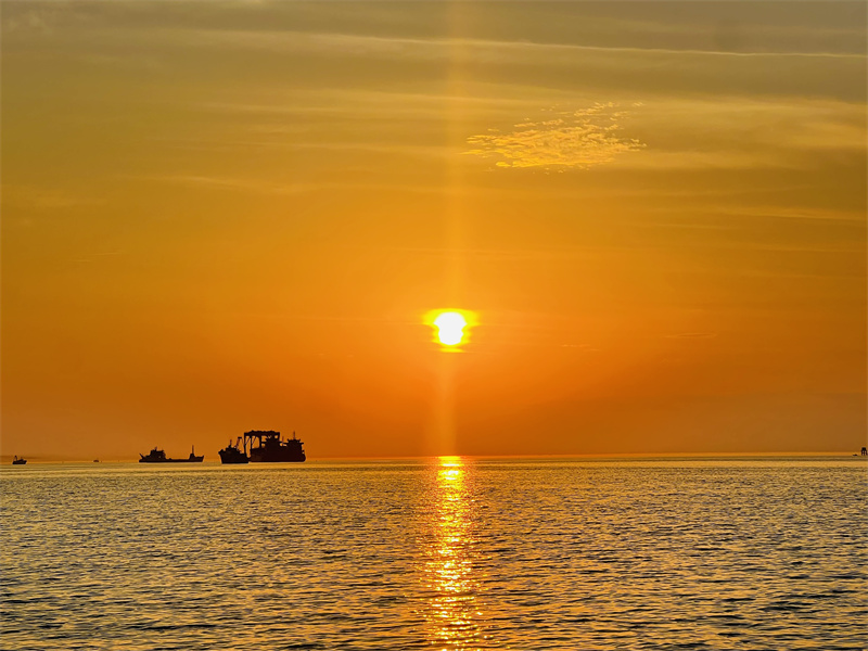 日落+成都管理处+成欣