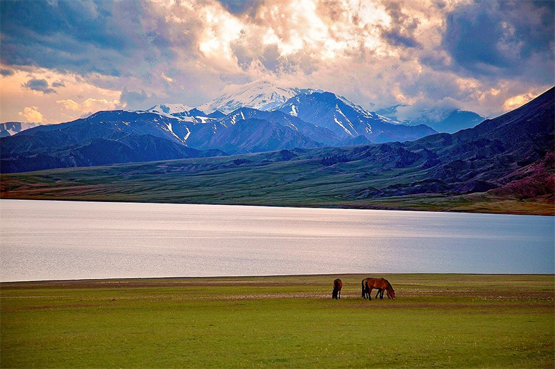 赛里木湖+成渝分成都处+吴云