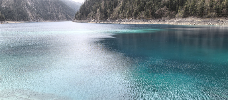 星河——四川成渝高速公路股份有限公司成渝分公司雷毅华